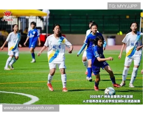 足球场上的闪耀星辰他们用脚步书写传奇与梦想