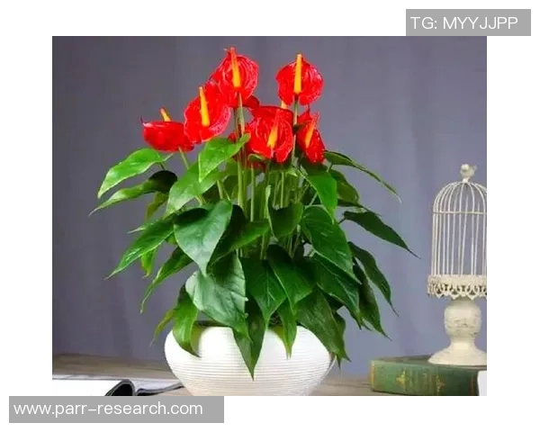 足球明星发力技巧揭秘助你提升射门精准度与力量的全面指南